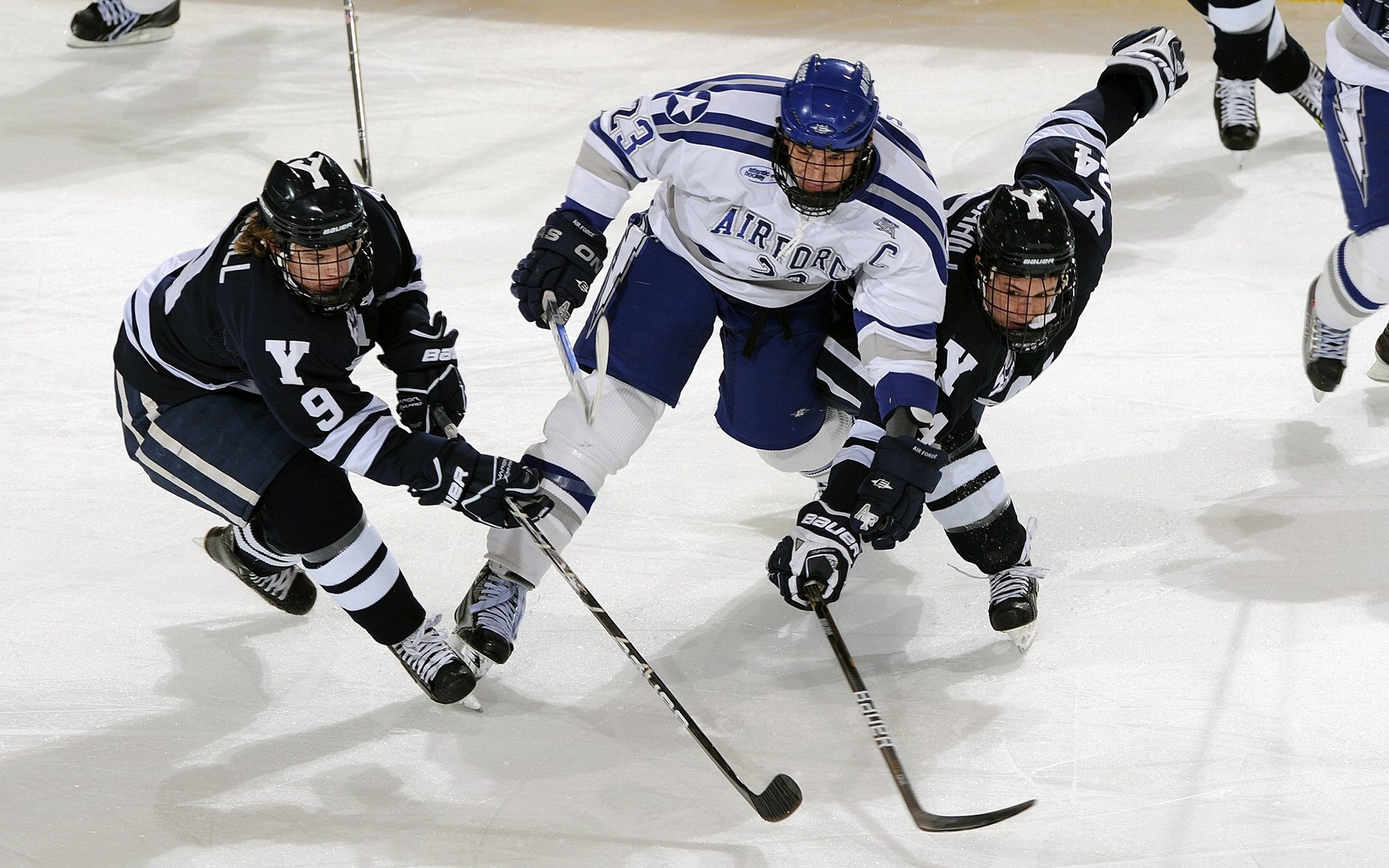 体育传奇故事继续